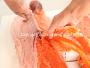 cortar salmão 16 copy